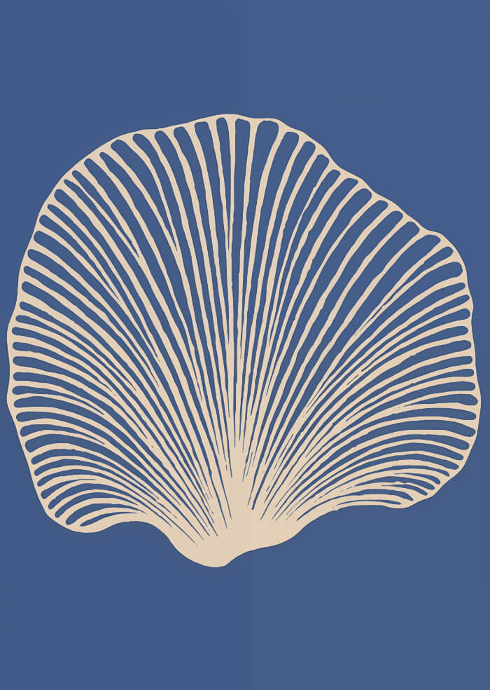 Shell
