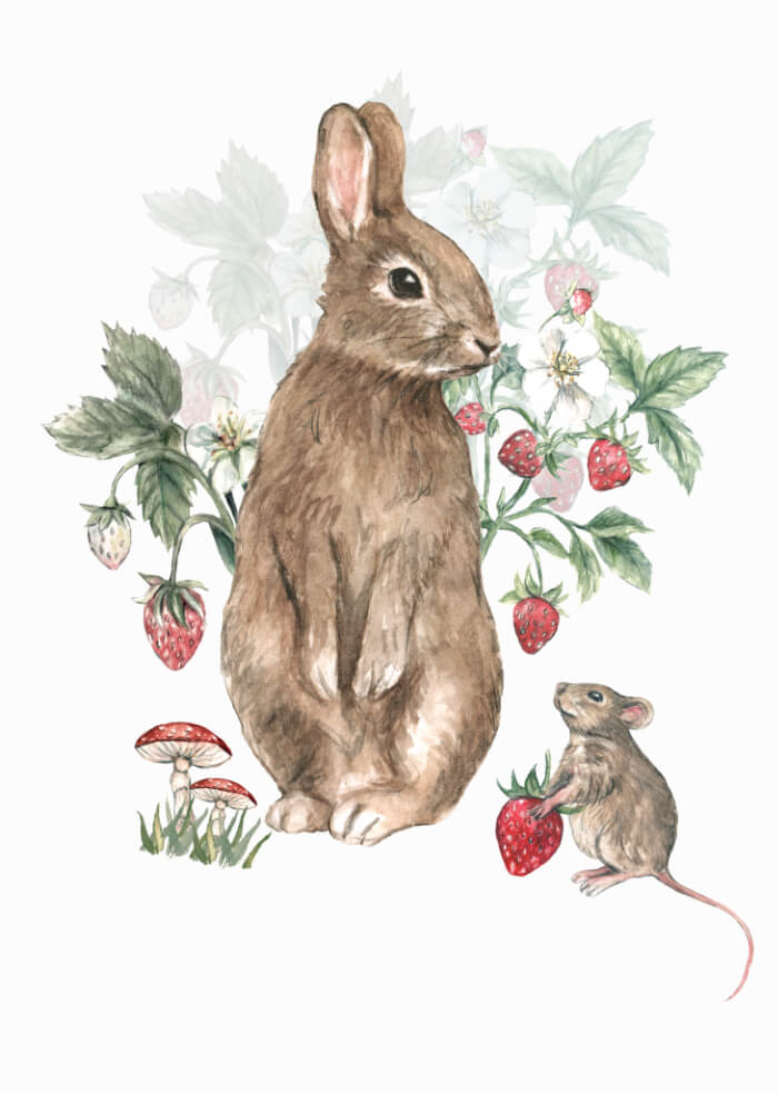 The Hare and the Mouse