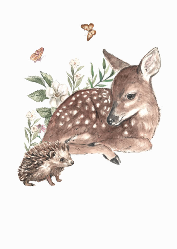 The Deer and the Hedgehog