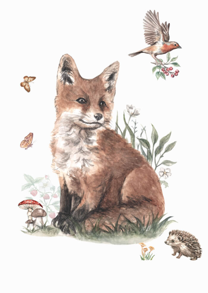 Fox