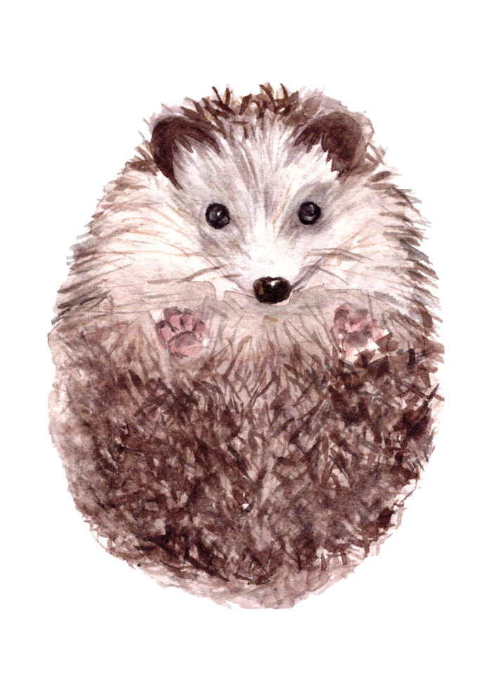 Hedgehog