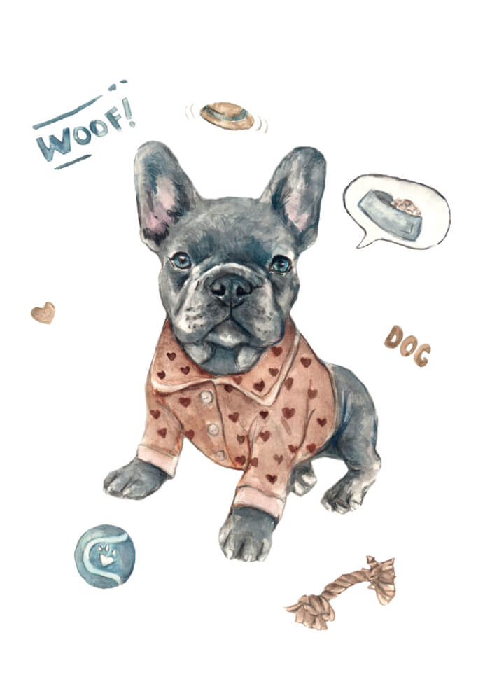 French Bulldog