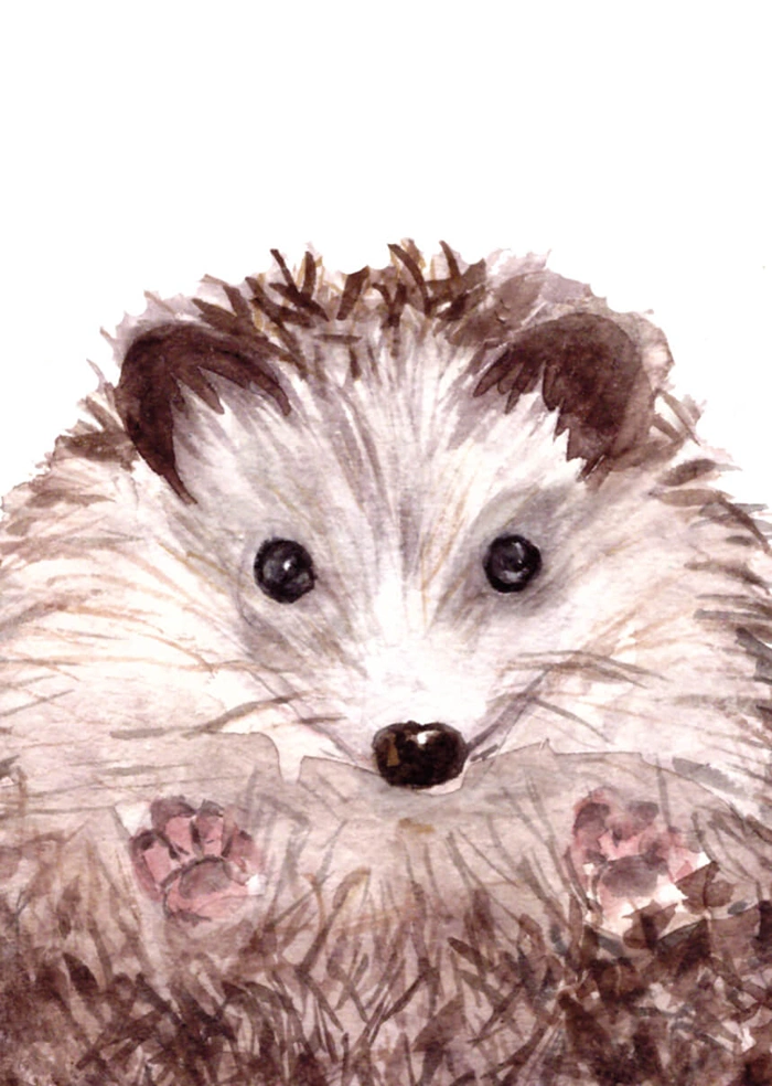 Small hedgehog