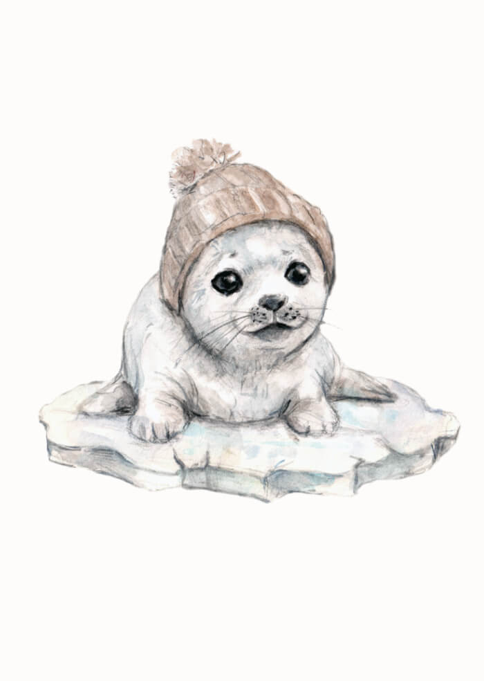 Seal