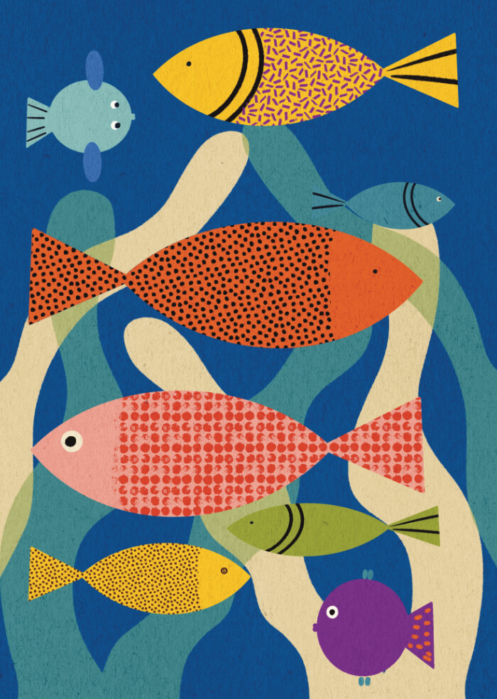 Fish