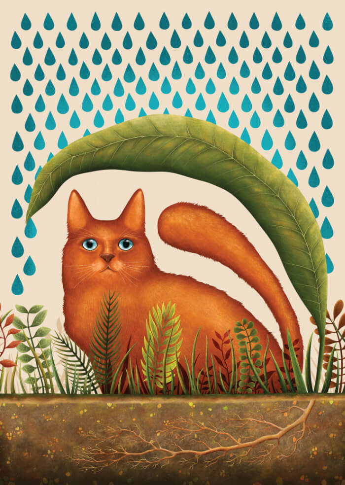 Cat