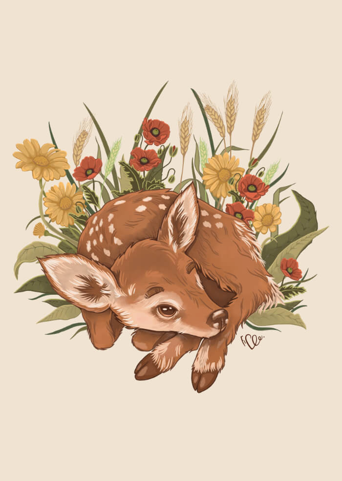 Deer