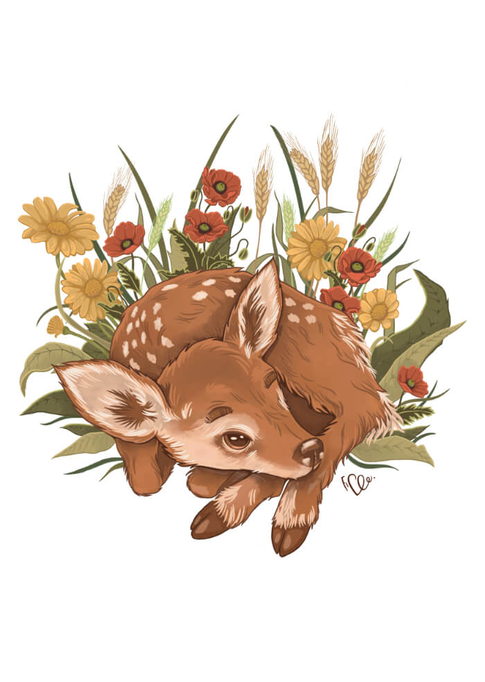 Deer