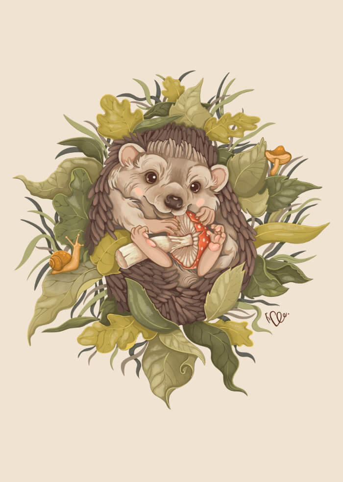 Hedgehog