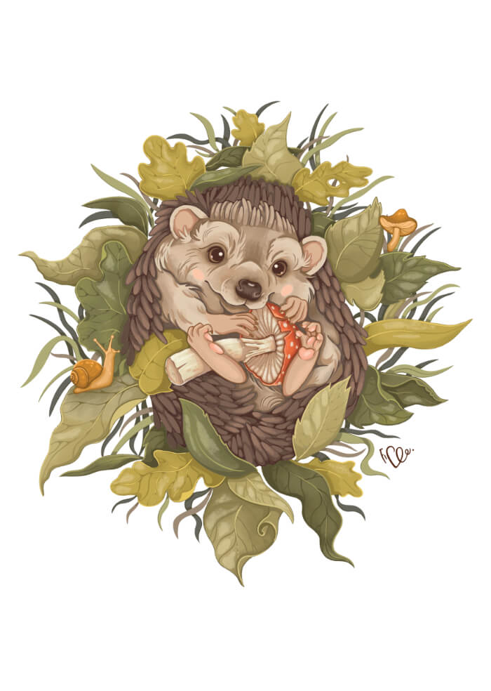 Hedgehog