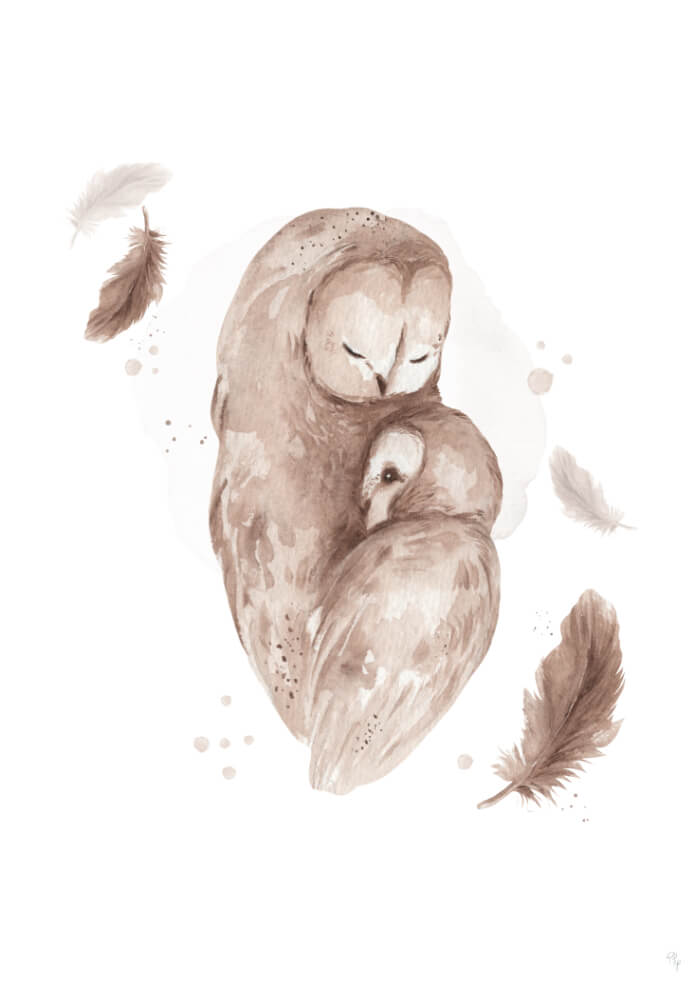 Owls