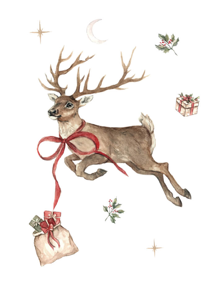 Reindeer