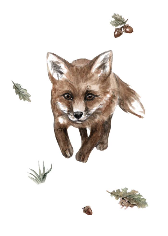 Fox