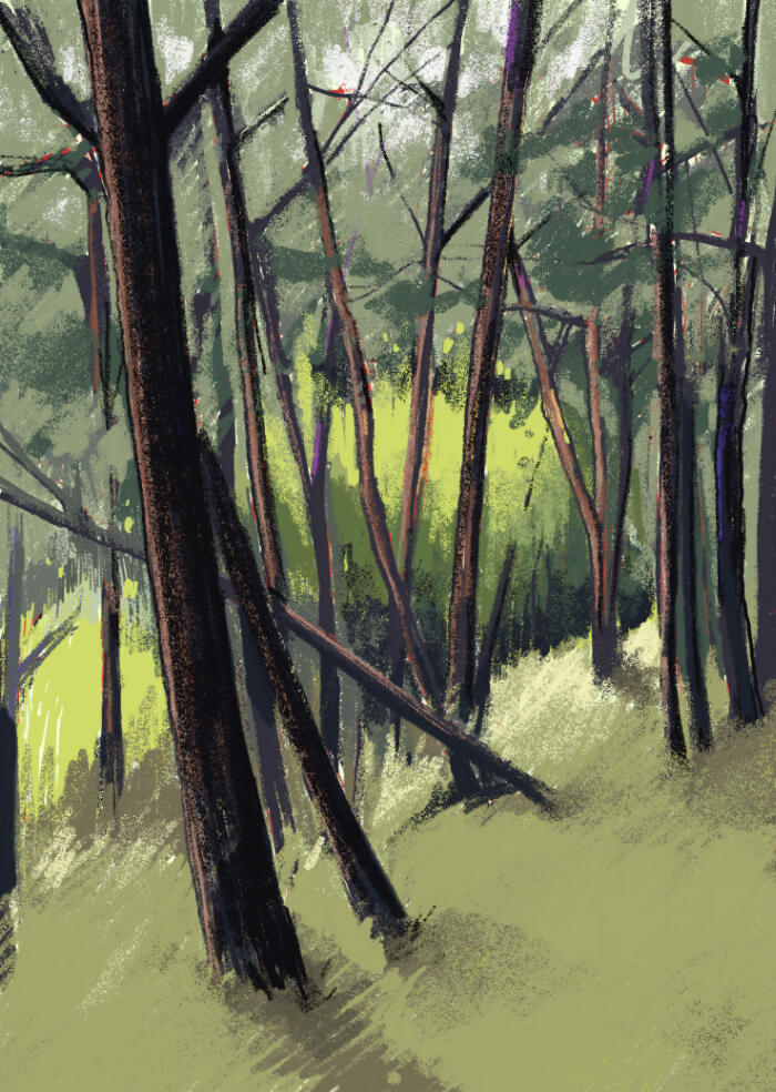 Forest