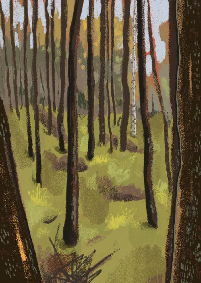 Forest