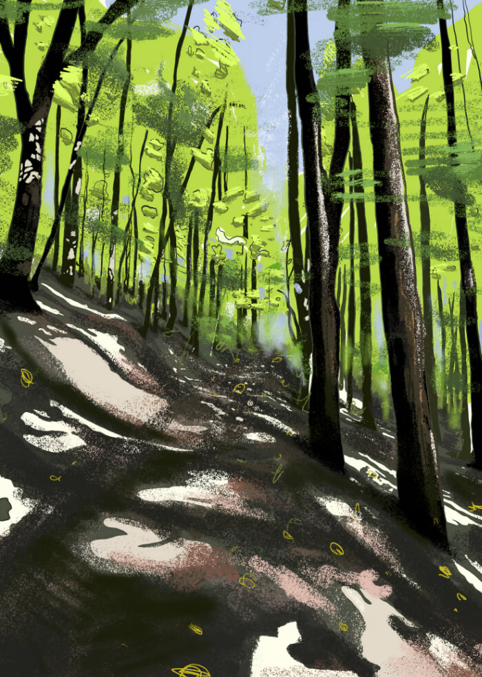 Forest