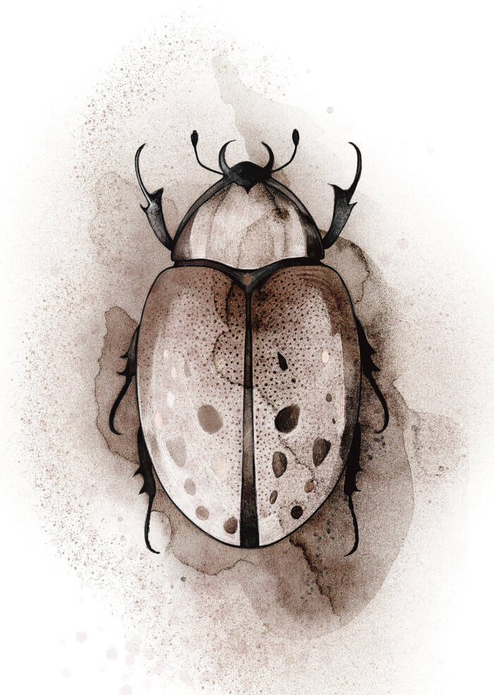 Bug