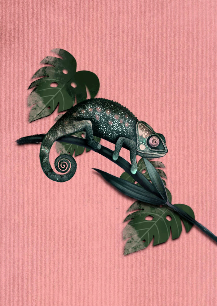 Chameleon