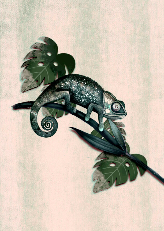 Chameleon