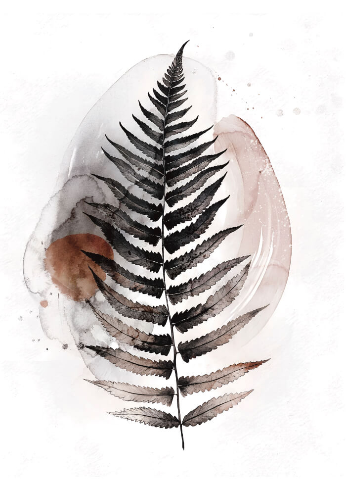 Fern