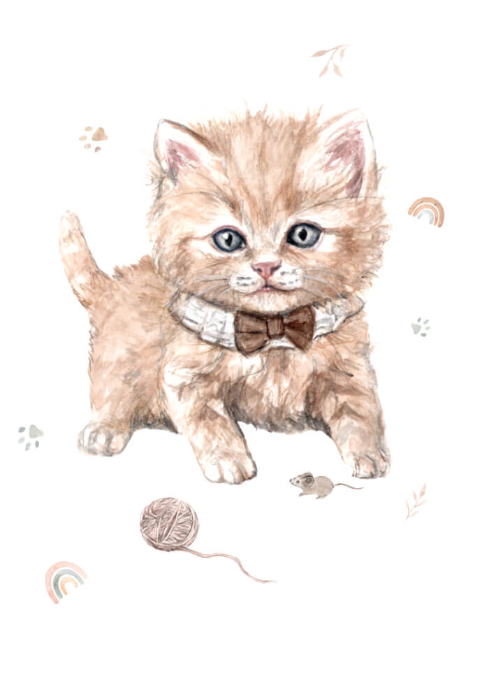 Kitten