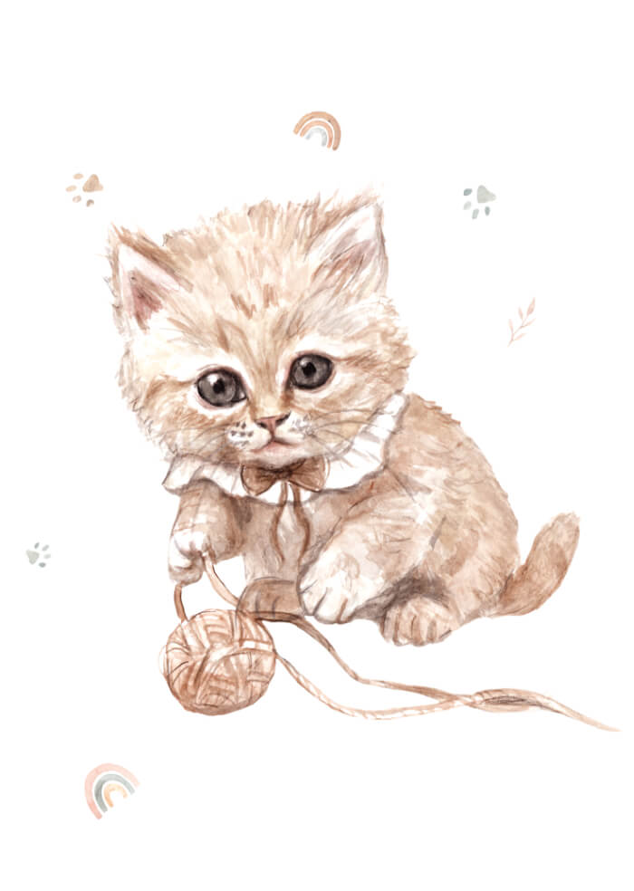Kitten