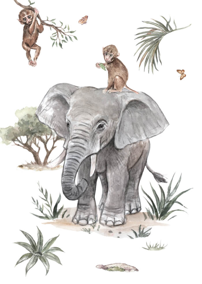 Elephant
