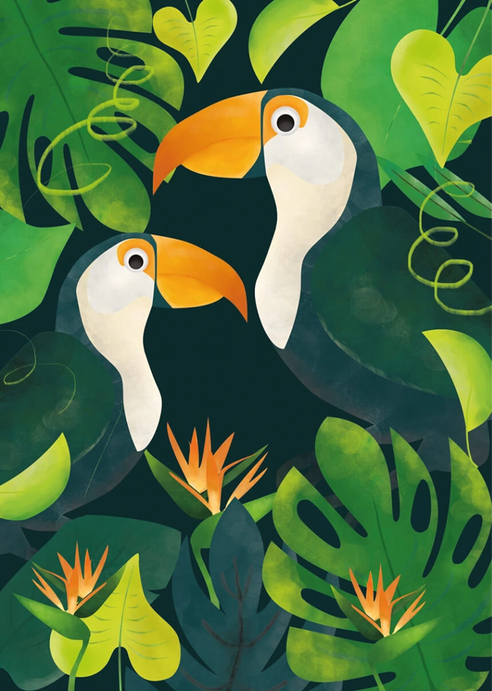 Toucans