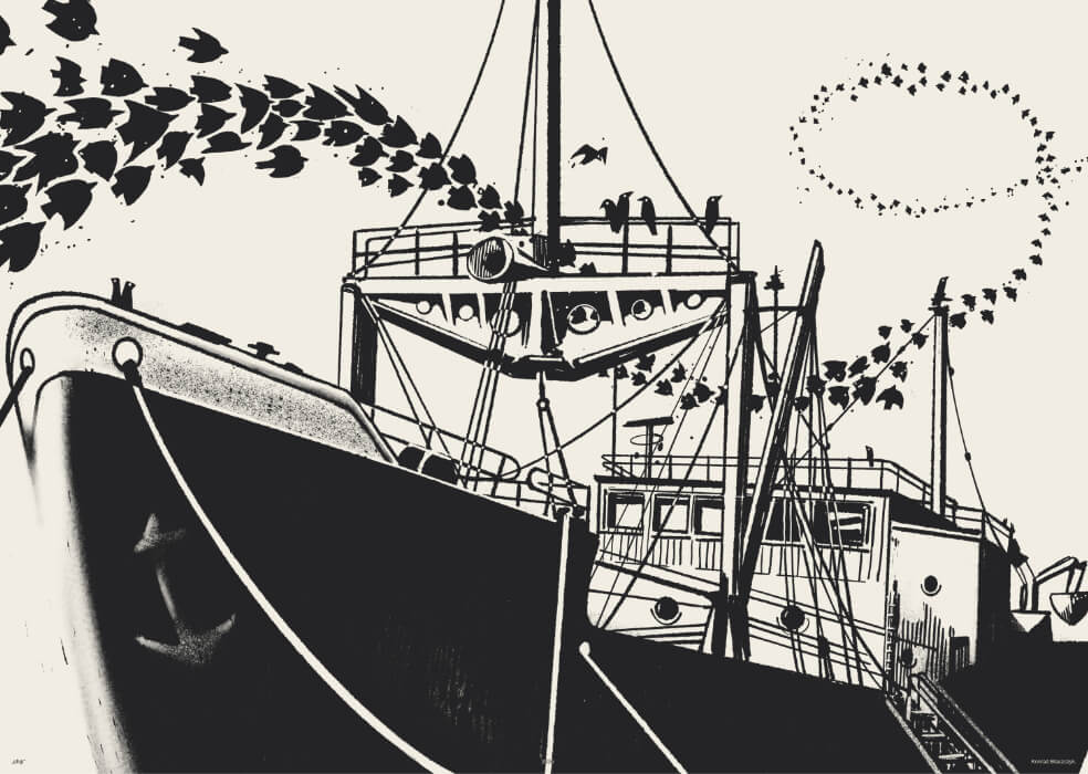 Ship