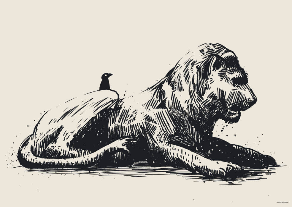 Lion