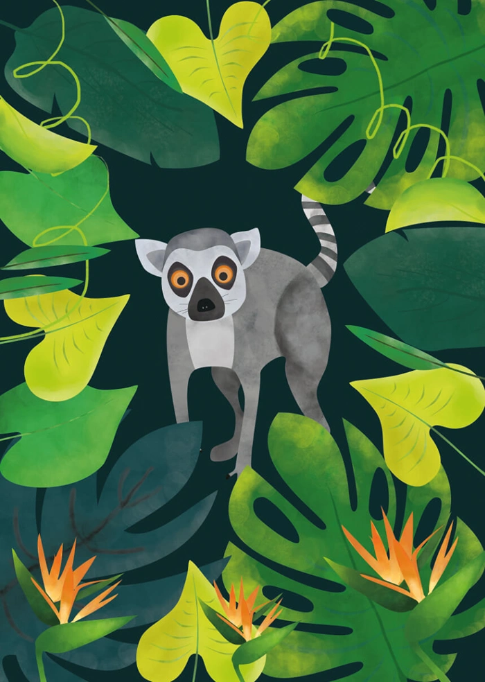 Lemur