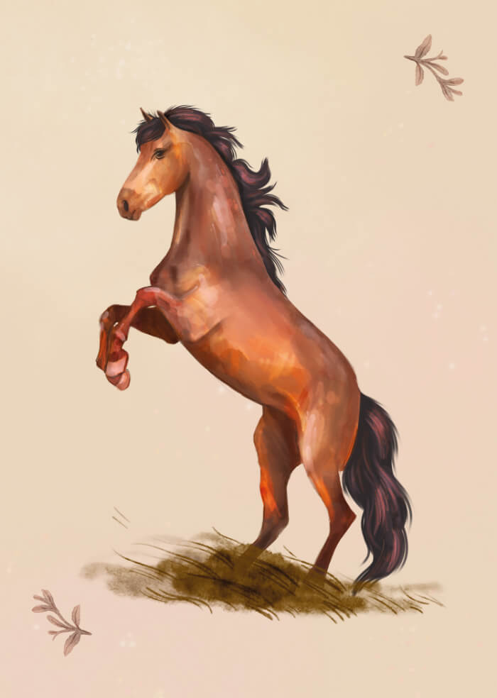 Horse
