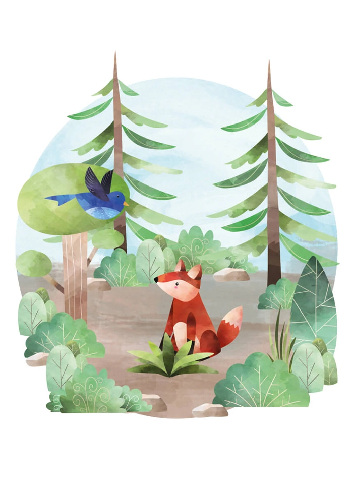 Morning in the woods