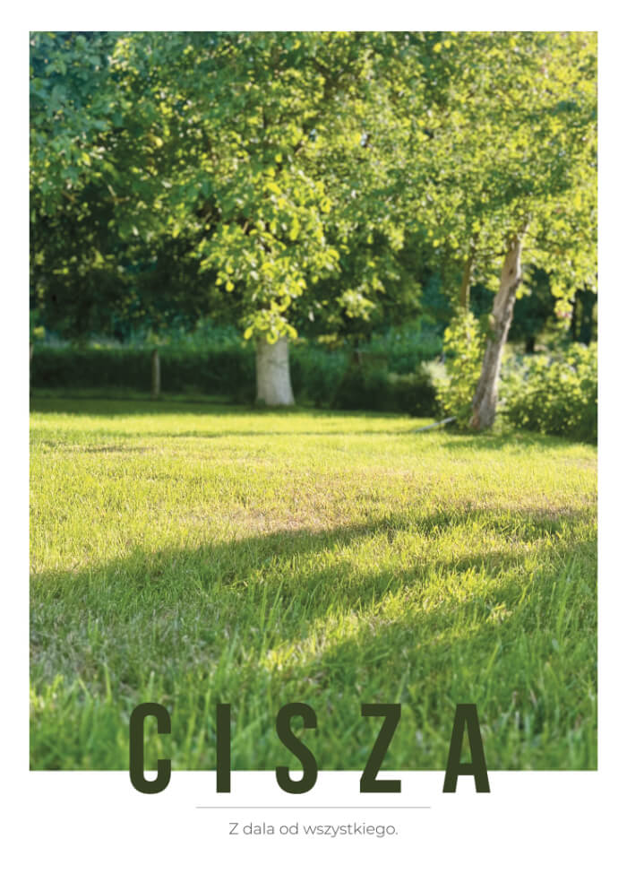 Cisza