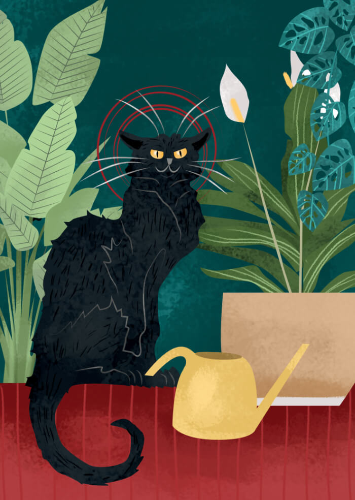 Chat
