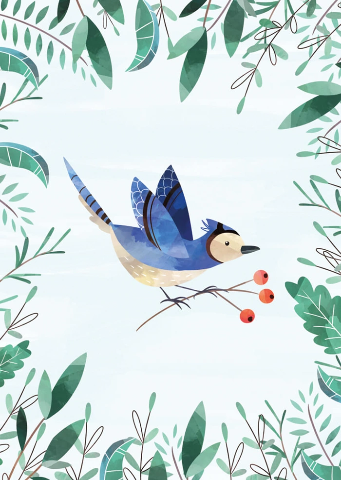 Little bird