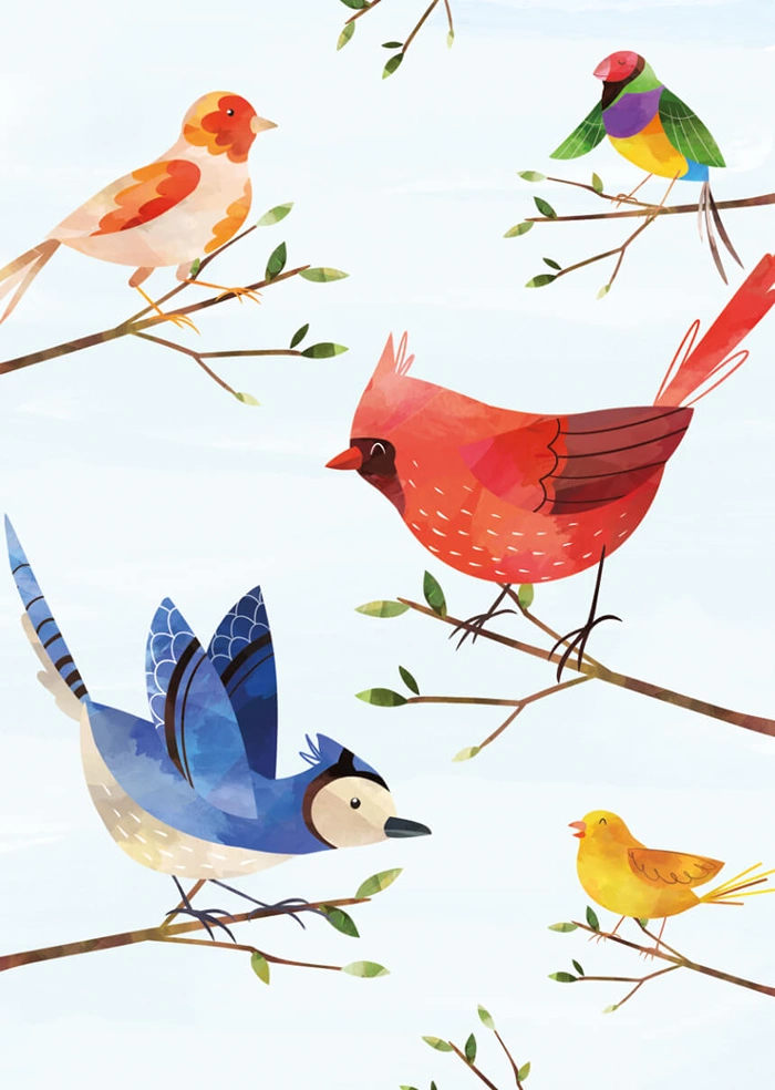 Birds