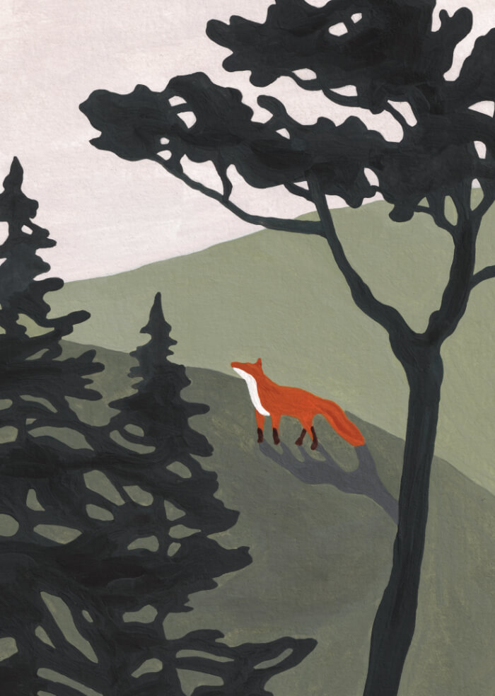 Fox