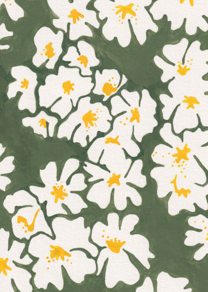 Edelweiss