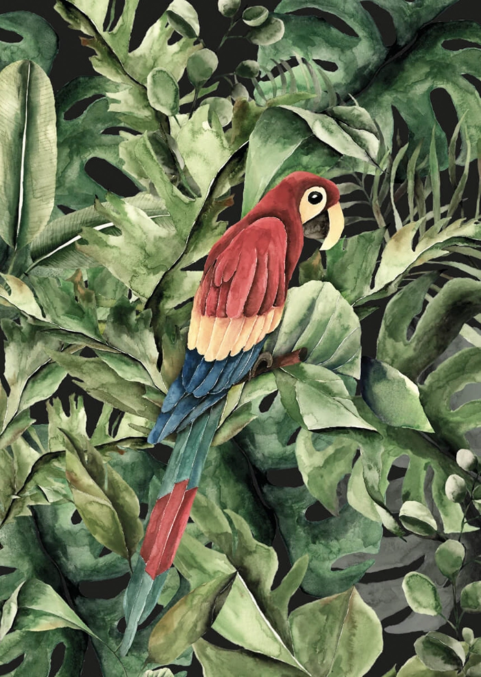 Parrot