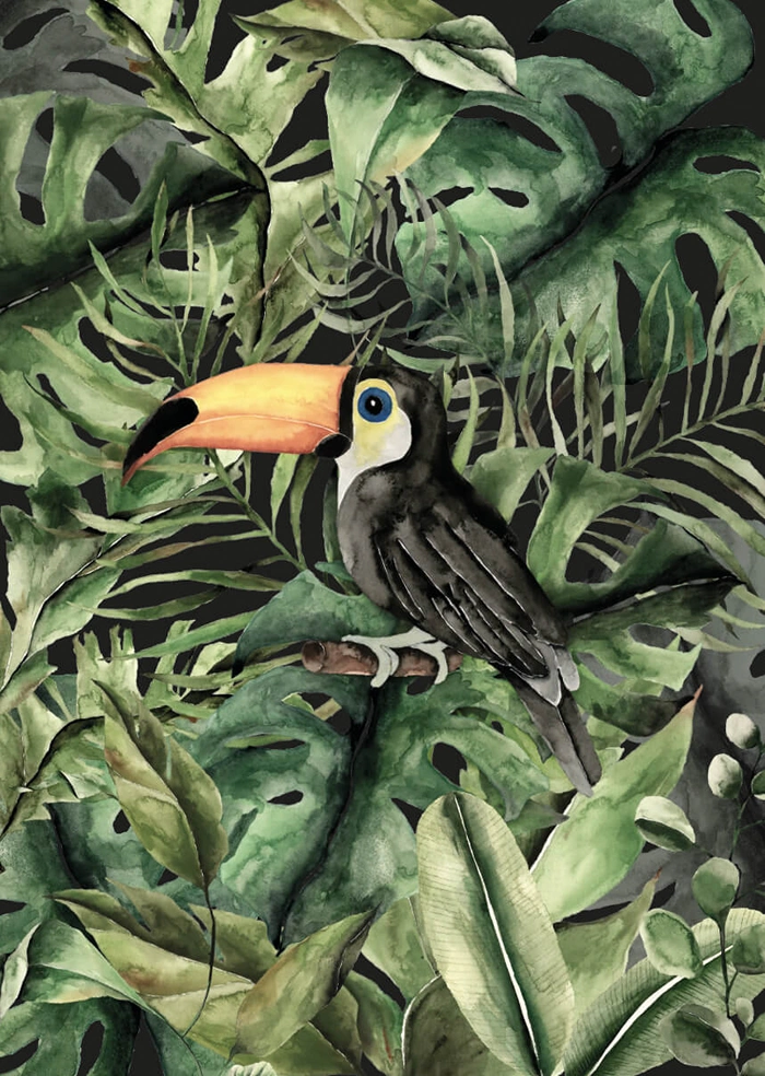 Toucan