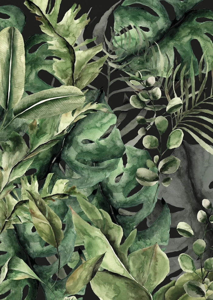 Jungle