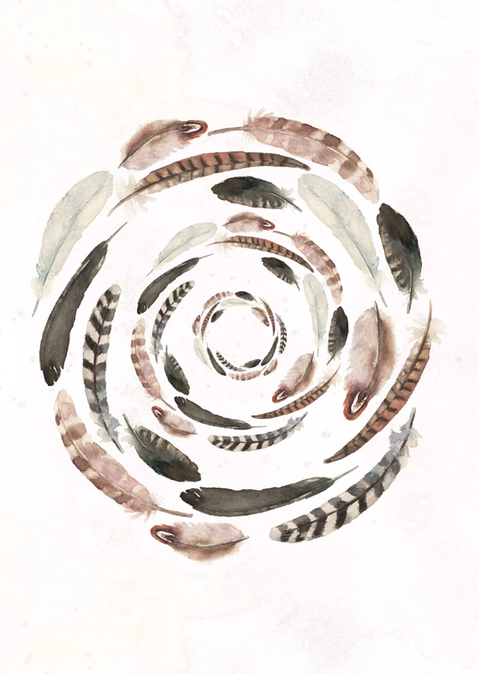 Feathers