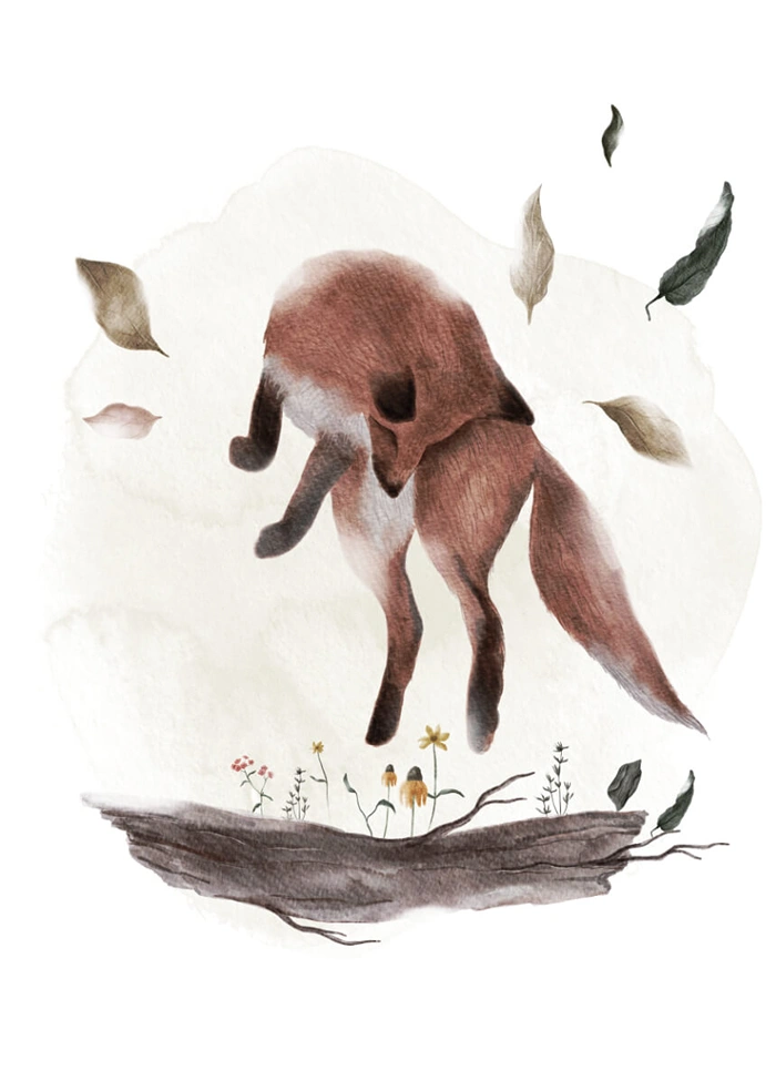 Fox
