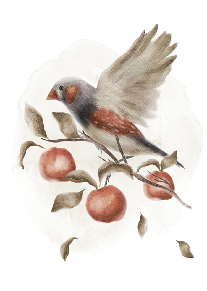 Little bird