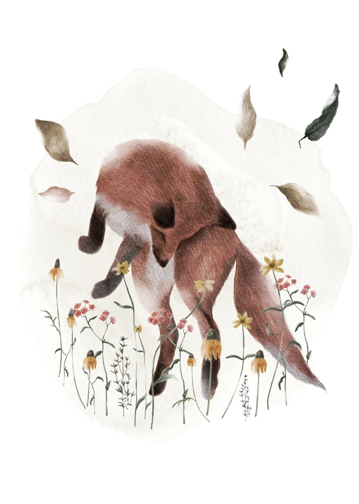 Fox in the meadow