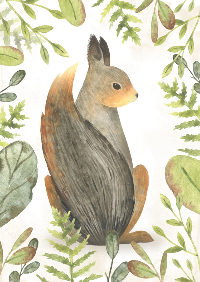 Little squirrel