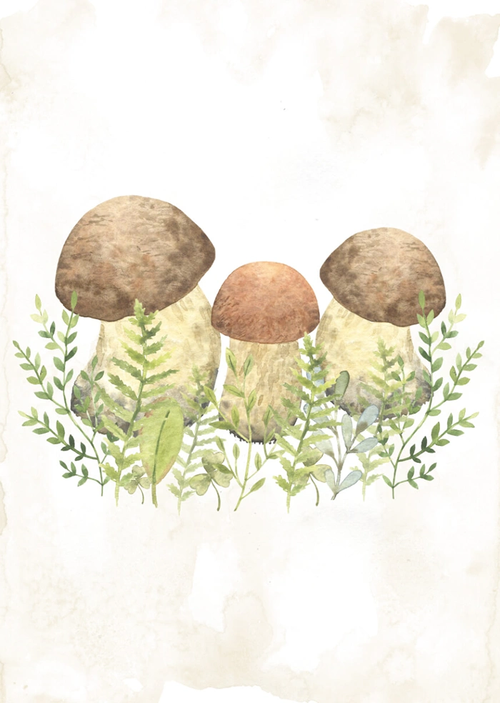 Mushrooms