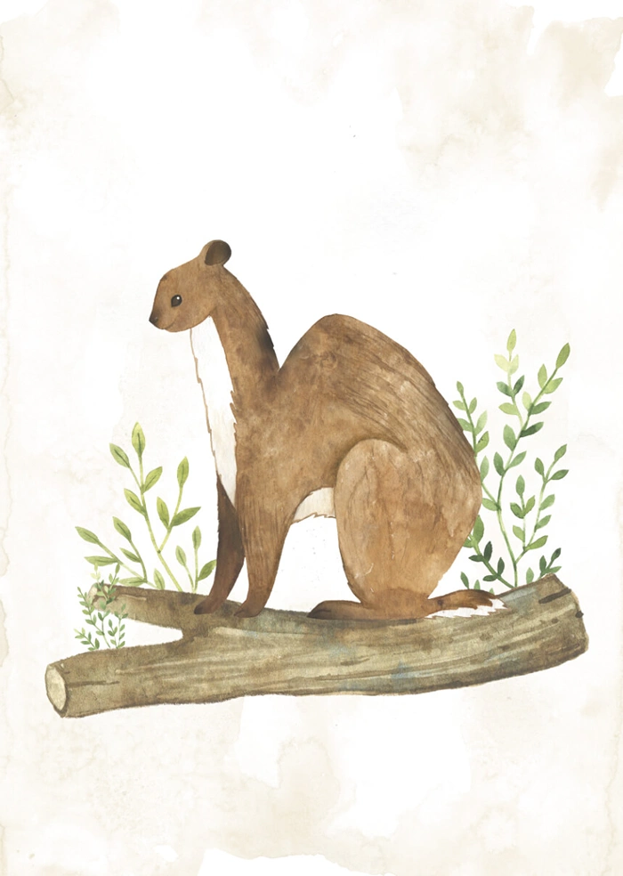 Weasel