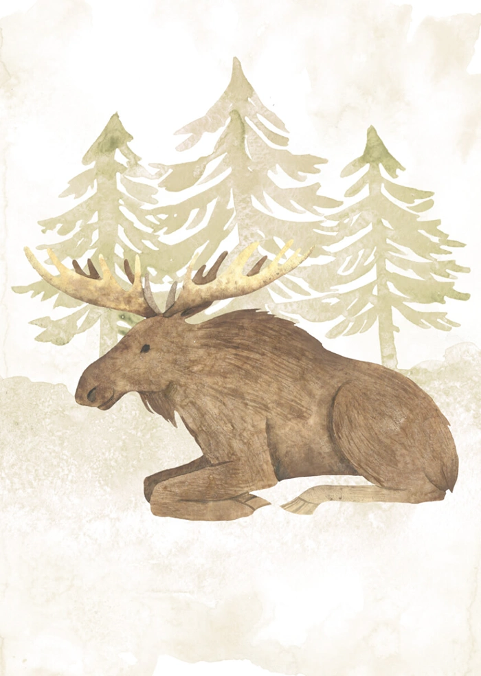 Moose